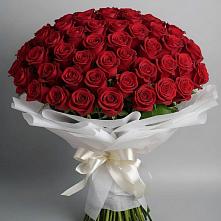 Букет 101 Красная роза Блэк Мэджик в Старощербиновской