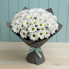Букет цветов из:  Хризантемы в Старощербиновской