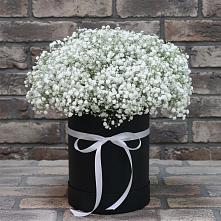 Цветочная композиция из Гипсофила в шляпной коробке #REPLACE_PRED# Старощербиновской