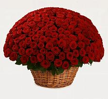 Премиум букет из: Розы в Старощербиновской